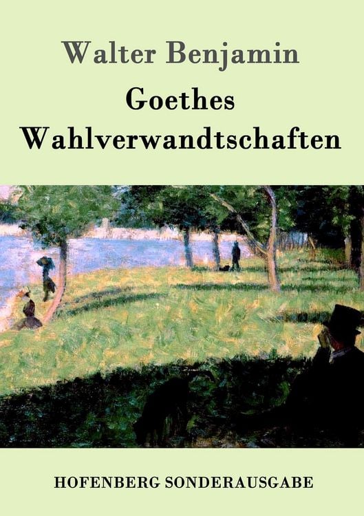 Produktbild: Goethes Wahlverwandtschaften