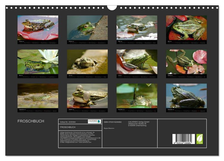 Produktbild: FROSCHBUCH (Wandkalender 2026 DIN A3 quer), CALVENDO Monatskalender