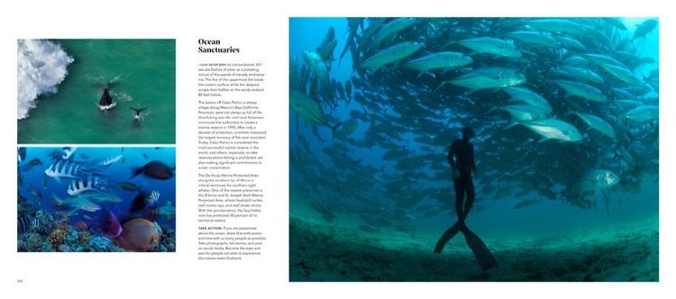 Produktbild: Wild Seas