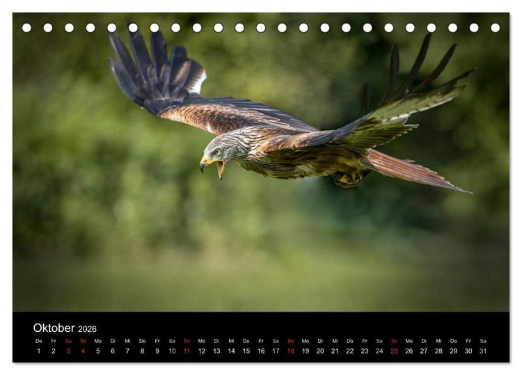 Produktbild: Sch&ouml;nheiten der L&uuml;fte - Greifv&ouml;gel (Tischkalender 2026 DIN A5 quer), CALVENDO Monatskalender
