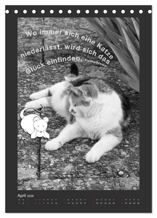 Produktbild: Katz & Maus (Tischkalender 2026 DIN A5 hoch), CALVENDO Monatskalender