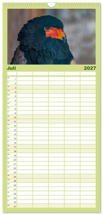 Produktbild: Familienplaner 2027 - Greifv&ouml;gel in Aktion - Dynamische Flugbilder und Portr&auml;ts mit 5 Spalten (Wandkalender, 21 x 45 cm) CALVENDO