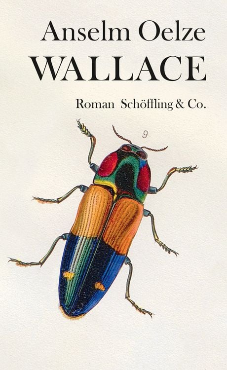 Produktbild: Wallace