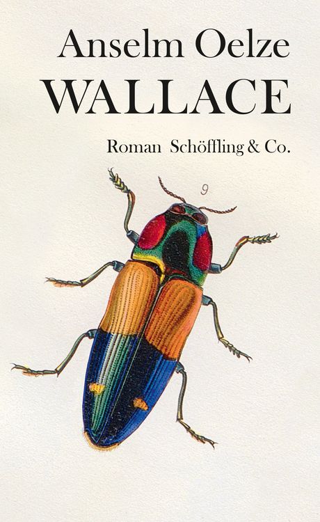 Produktbild: Wallace