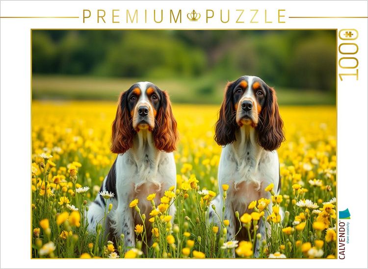 Produktbild: CALVENDO Puzzle American Cocker Spaniel | 1000 Teile Lege-Gr&ouml;&szlig;e 64x48cm Foto-Puzzle f&uuml;r gl&uuml;ckliche Stunden