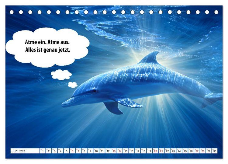 Produktbild: Stille Pfoten, weise Worte - Tiere zeigen dir den Weg zu mehr Gelassenheit (Tischkalender 2026 DIN A5 quer), CALVENDO Monatskalender