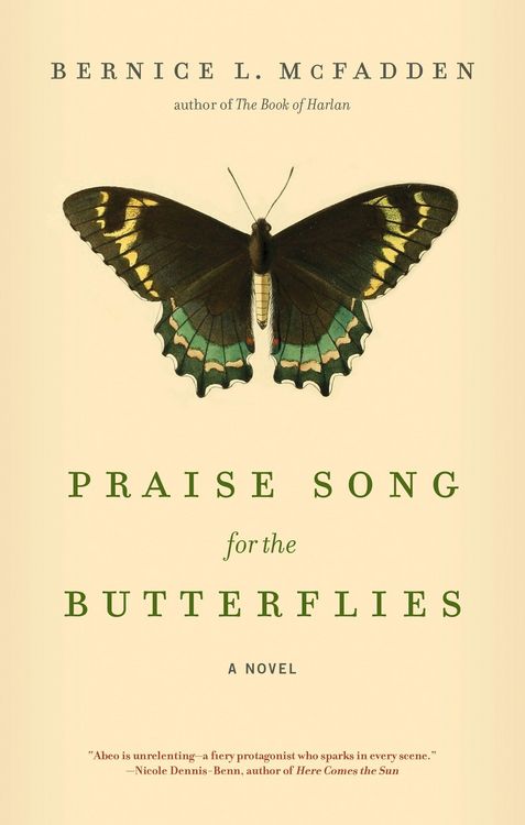 Produktbild: Praise Song for the Butterflies