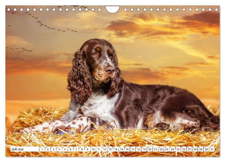 Produktbild: Ohne Hund ist alles nichts - Mit unseren besten Freunden durch das Jahr (Wandkalender 2026 DIN A4 quer), CALVENDO Monatskalender