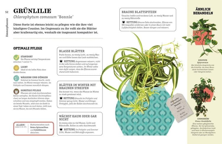 Produktbild: So &uuml;berlebt deine Zimmerpflanze garantiert