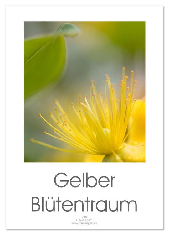 Produktbild: Gelber Bl&uuml;tentraum (Wandkalender 2026 DIN A3 hoch), CALVENDO Monatskalender