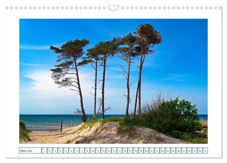 Produktbild: Der Weststrand am Dar&szlig; (Wandkalender 2026 DIN A3 quer), CALVENDO Monatskalender