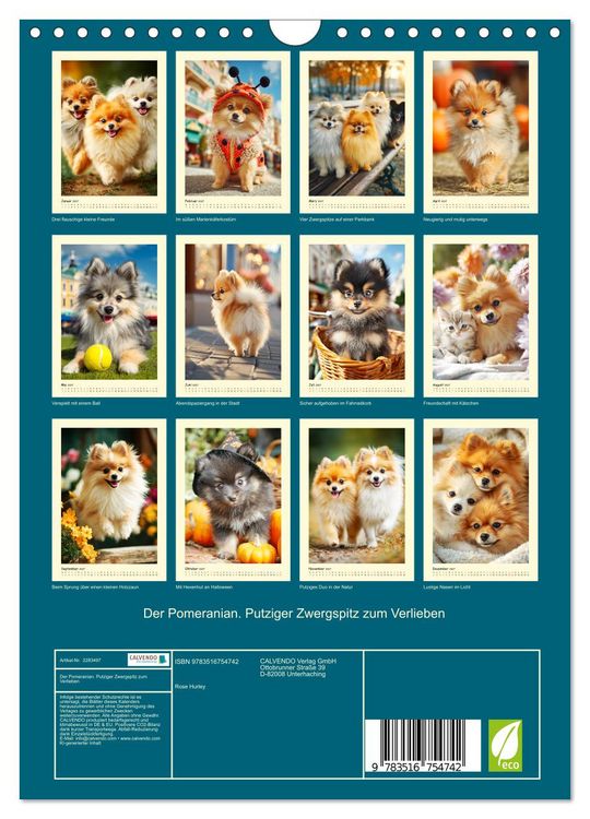 Produktbild: Der Pomeranian. Putziger Zwergspitz zum Verlieben (Wandkalender 2027 DIN A4 hoch), CALVENDO Monatskalender