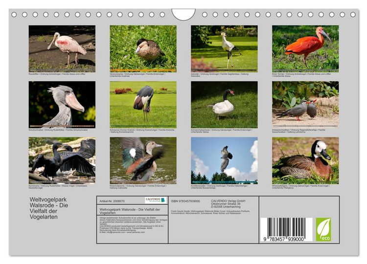 Produktbild: Weltvogelpark Walsrode - Die Vielfalt der Vogelarten (Wandkalender 2026 DIN A4 quer), CALVENDO Monatskalender