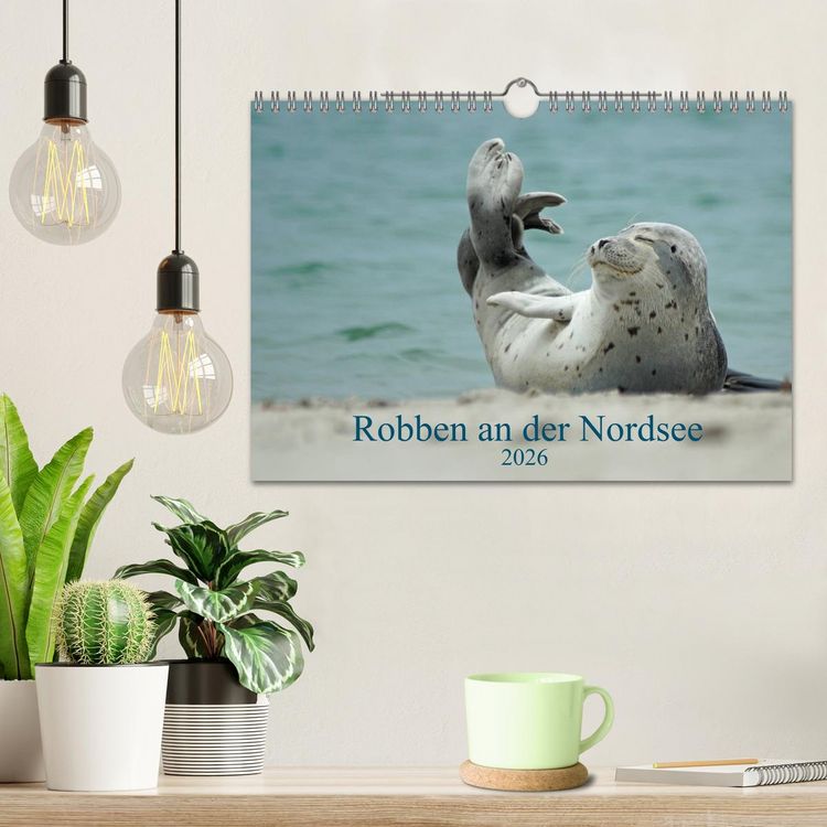 Produktbild: Robben an der Nordsee (Wandkalender 2026 DIN A4 quer), CALVENDO Monatskalender