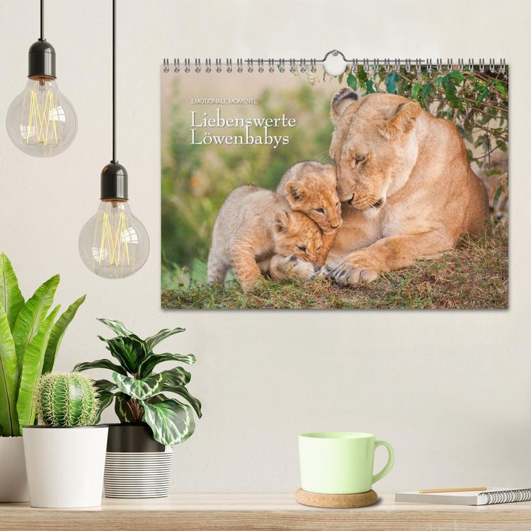 Produktbild: Emotionale Momente: Liebenswerte L&ouml;wenbabys / CH-Version (Wandkalender 2026 DIN A4 quer), CALVENDO Monatskalender