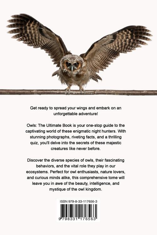 Produktbild: Owls The Ultimate Book