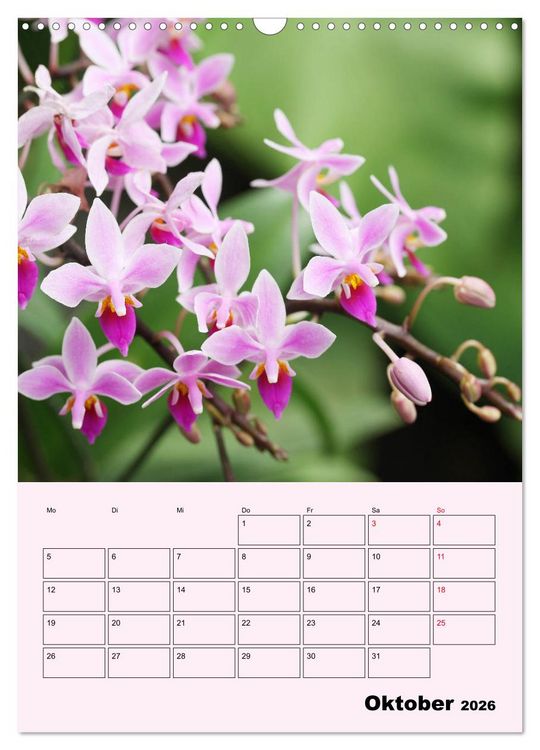 Produktbild: Orchideenliebe (Wandkalender 2026 DIN A3 hoch), CALVENDO Monatskalender