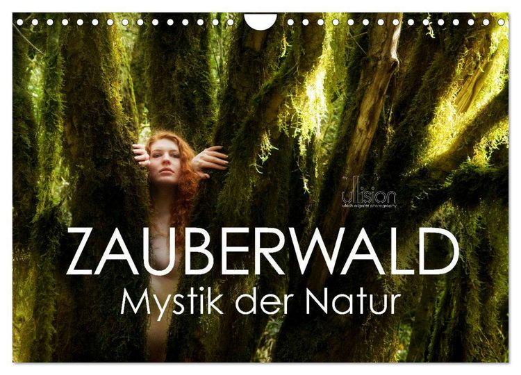 Produktbild: ZAUBERWALD Mystik der Natur (Wandkalender 2026 DIN A4 quer), CALVENDO Monatskalender