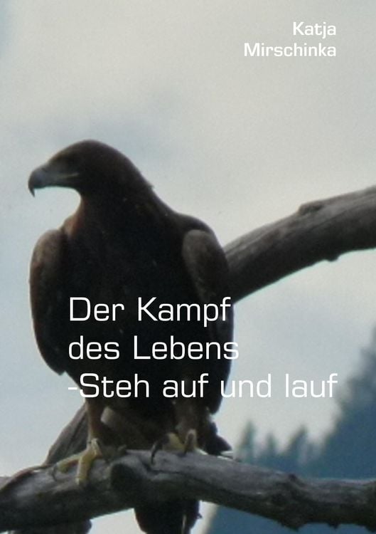 Produktbild: Der Kampf des Lebens - Steh auf und lauf