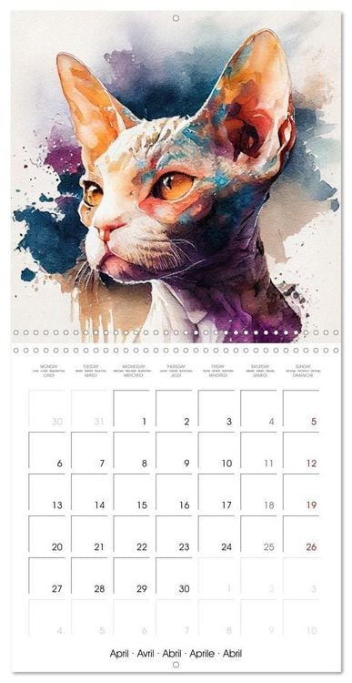 Produktbild: Cat Breeds in Watercolor (Wall Calendar 2026 12 &times; 12 Inch) CALVENDO 12 Month Wall Calendar