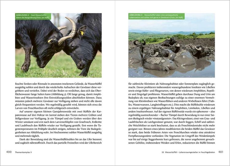 Produktbild: Die R&uuml;ckkehr der gro&szlig;en Pflanzenfresser