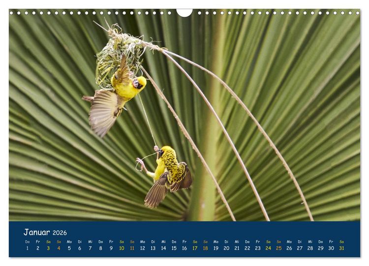 Produktbild: Faszinierende Tierwelt von Mauritius - Magische Momente der Natur (Wandkalender 2026 DIN A3 quer), CALVENDO Monatskalender