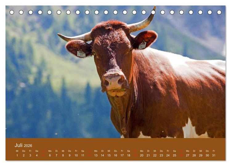Produktbild: Wir sind die Stars am Bauernhof (Tischkalender 2026 DIN A5 quer), CALVENDO Monatskalender