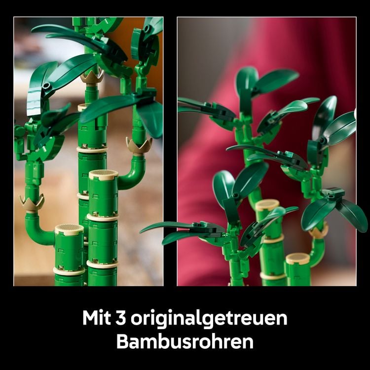 Produktbild: LEGO Botanicals Gl&uuml;cks-Bambus - Kunstpflanze f&uuml;r Erwachsene 10344