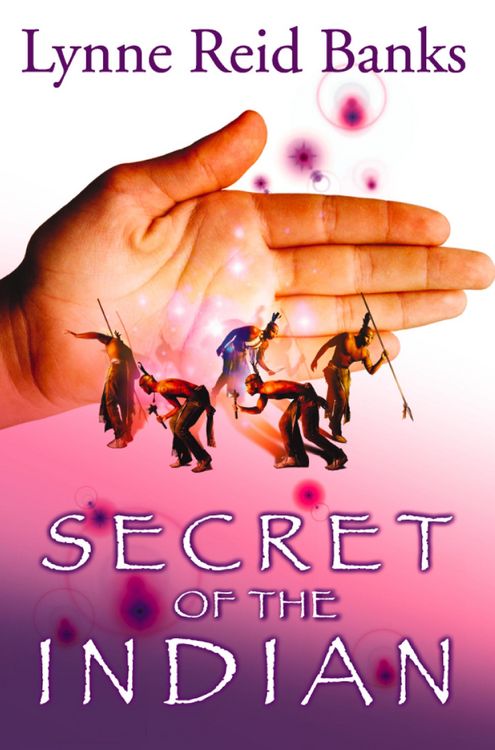 Produktbild: Secret of the Indian