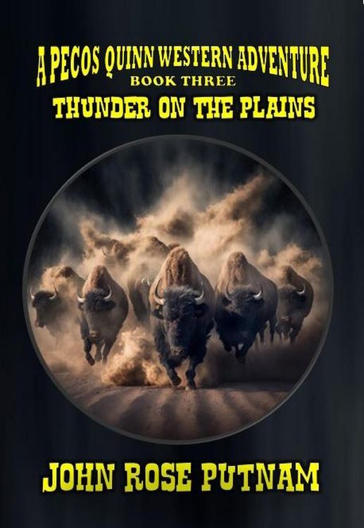Produktbild: Thunder on the Plains (A Pecos Quinn Western Adventure, #3)
