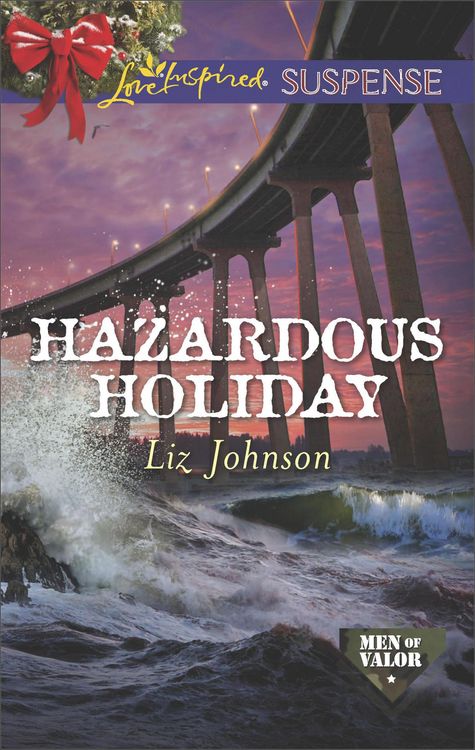 Produktbild: Hazardous Holiday