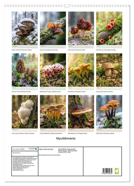 Produktbild: MycoMoments (Wall Calendar 2027 DIN A2 portrait), CALVENDO 12 Month Wall Calendar
