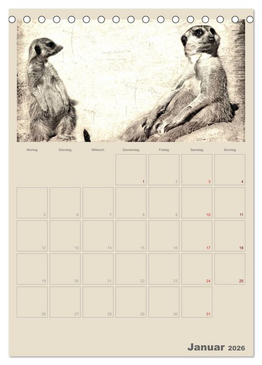 Produktbild: Lustige Erdm&auml;nnchen (Tischkalender 2026 DIN A5 hoch), CALVENDO Monatskalender