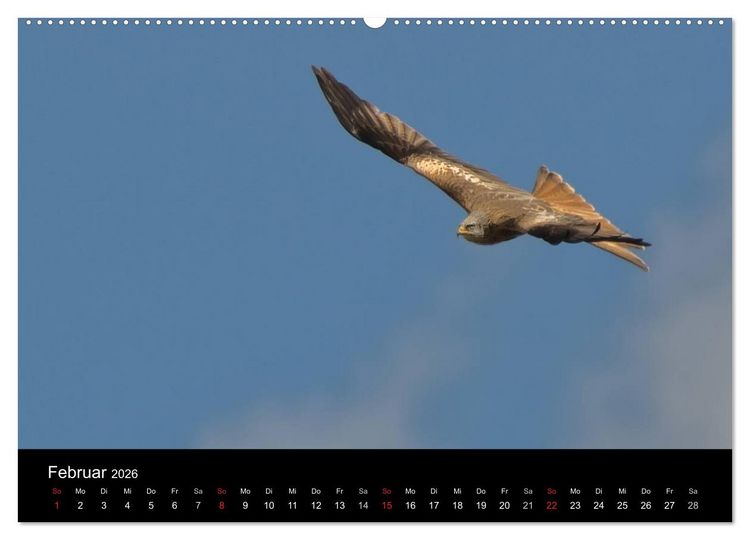 Produktbild: Wilde Heimat (hochwertiger Premium Wandkalender 2026 DIN A2 quer), Kunstdruck in Hochglanz