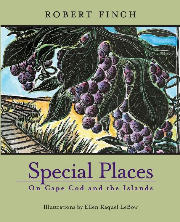 Produktbild: Special Places on Cape Cod and the Islands