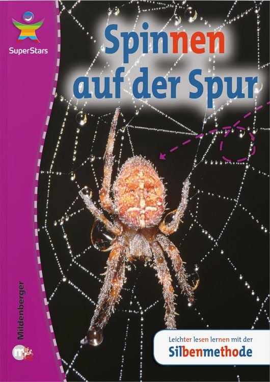 Produktbild: SuperStars: Spinnen auf der Spur