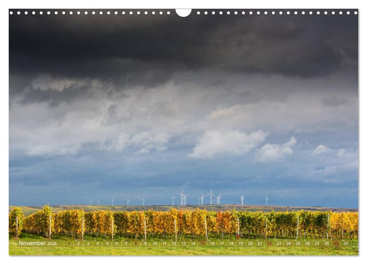 Produktbild: Wein - Landschaften (Wandkalender 2026 DIN A3 quer), CALVENDO Monatskalender