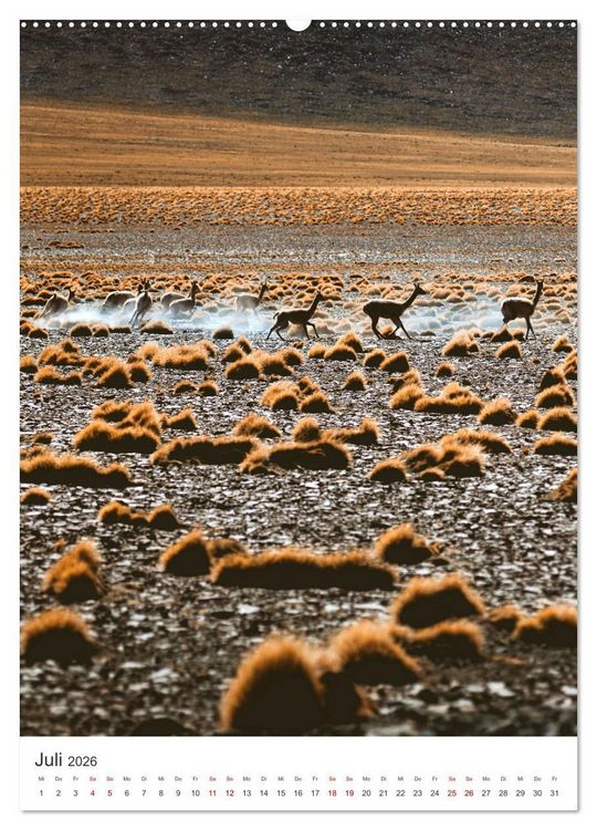 Produktbild: Chile - Ein Land mit unglaublicher Vielfalt. (Wandkalender 2026 DIN A2 hoch), CALVENDO Monatskalender