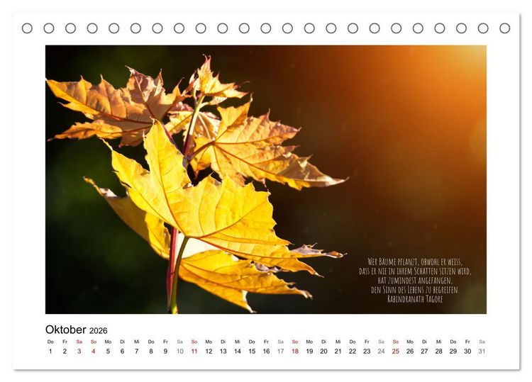 Produktbild: Bl&auml;tterreigen (Tischkalender 2026 DIN A5 quer), CALVENDO Monatskalender