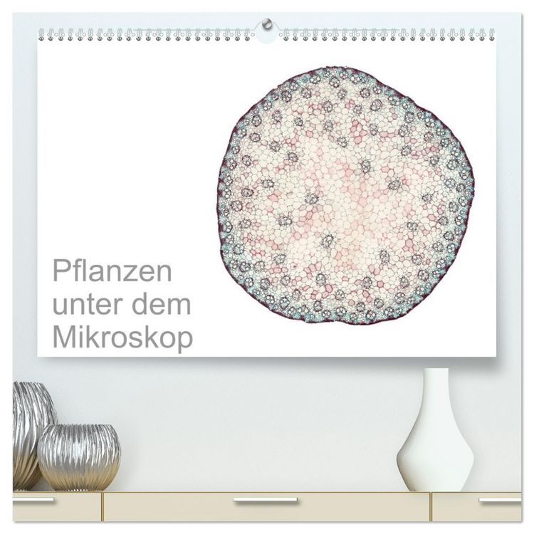 Produktbild: Pflanzen unter dem Mikroskop (hochwertiger Premium Wandkalender 2026 DIN A2 quer), Kunstdruck in Hochglanz