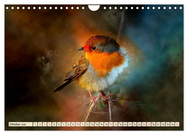 Produktbild: Bei uns im Garten - Rotkehlchen (Wandkalender 2026 DIN A4 quer), CALVENDO Monatskalender