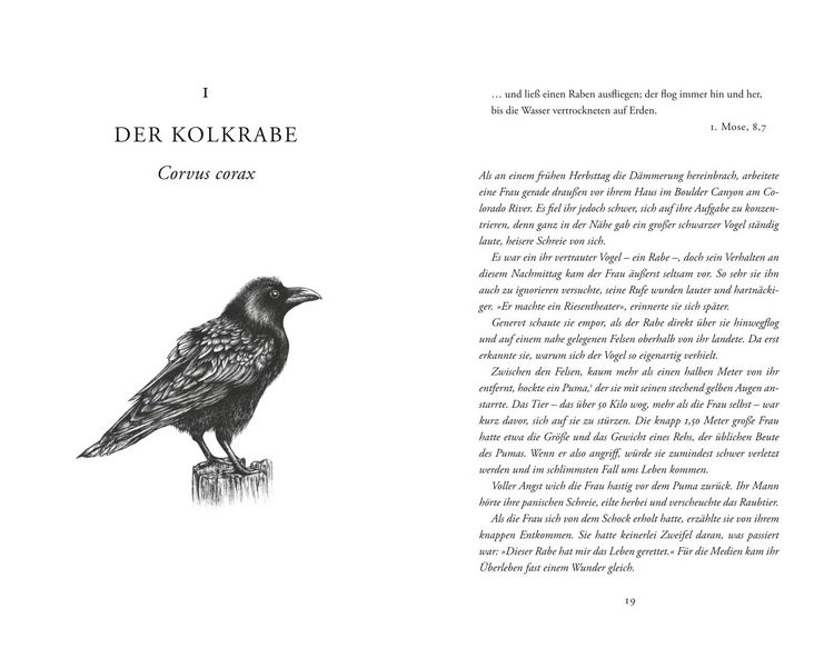 Produktbild: Wie zehn V&ouml;gel die Welt ver&auml;nderten