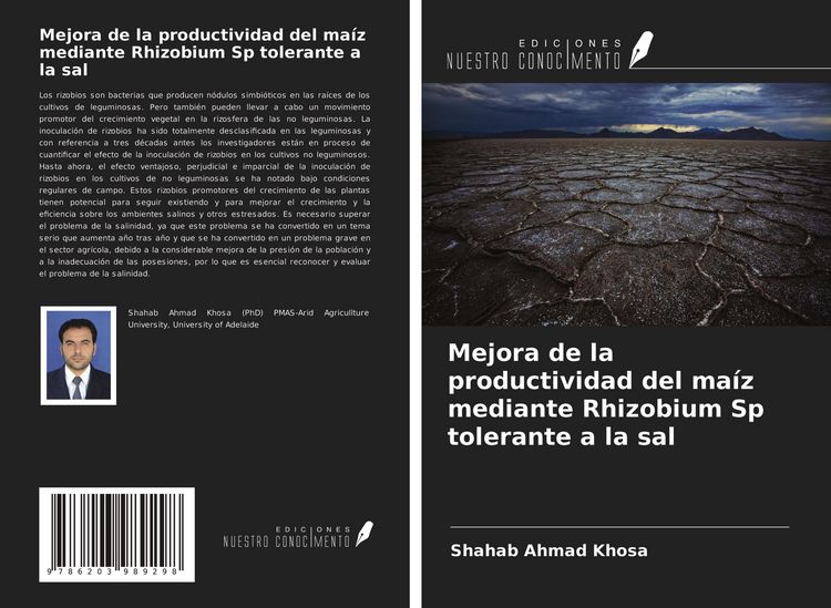 Produktbild: Mejora de la productividad del ma&iacute;z mediante Rhizobium Sp tolerante a la sal