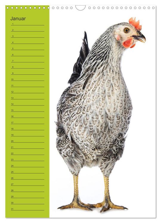 Produktbild: Kunterbunte H&uuml;hner Truppe (Wandkalender 2026 DIN A3 hoch), CALVENDO Monatskalender