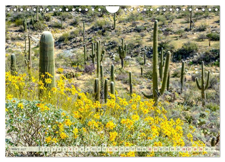 Produktbild: Unterwegs in ARIZONA (Wandkalender 2027 DIN A4 quer), CALVENDO Monatskalender