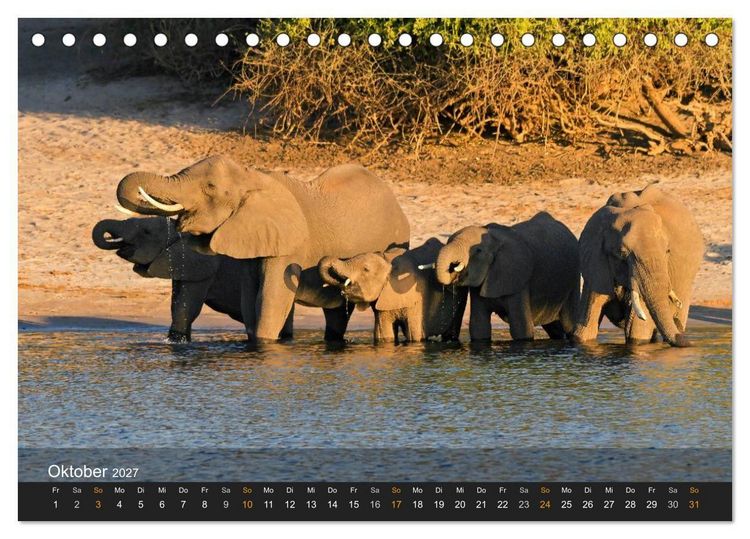 Produktbild: Elefanten (Tischkalender 2027 DIN A5 quer), CALVENDO Monatskalender