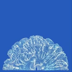 Produktbild: Yes! Come Parade With Us (Ltd.CD)