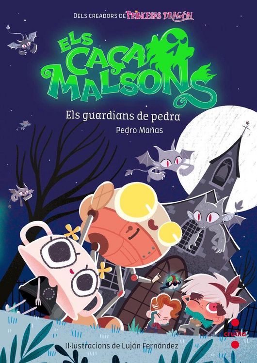 Produktbild: C-Cm. 5 Els Guardians De La Pedra