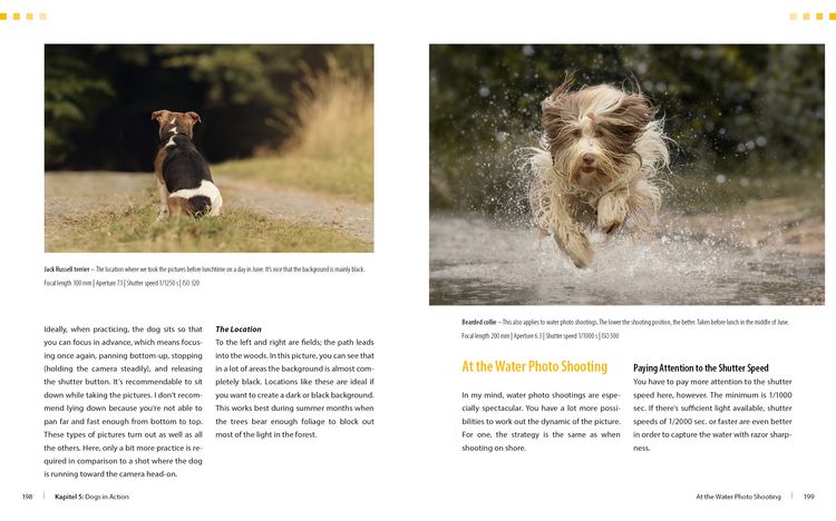 Produktbild: Dog Photography - Shooting with Bow "Wow" Effect