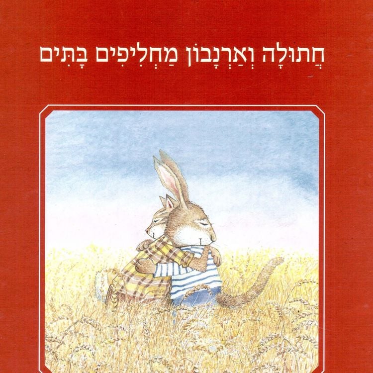 Produktbild: חתולה וארנבון מחליפים בתים